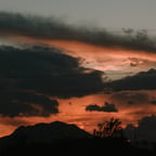 Deutsche Neutrale Stimme