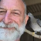 Andy Geller: Narrator