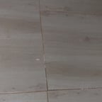 صوت عربي حيوي