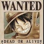 LUFFY 16