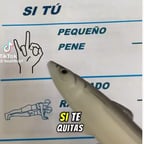 西语男（代入感强）1