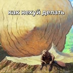 Молодая Студентка