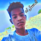 موراد علم دار التوركي 