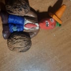 Зондри перец