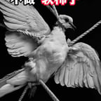 对标气泡音中年男