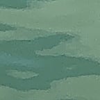 Dynamic Stage Performer