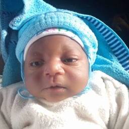 Voix Narrative Française