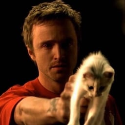Jesse pinkman