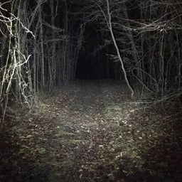 Voz Apasionada y Clara