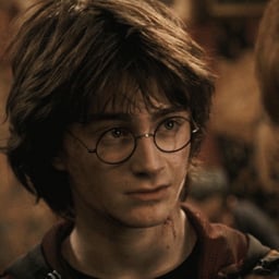 Dano Drevo[harry Potter]