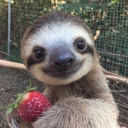 Dynamic Character Voice