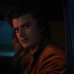 Steve Harrington 