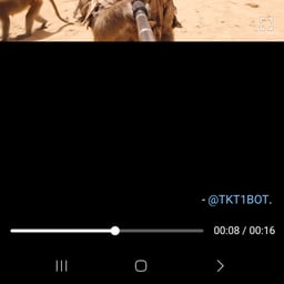 صوت شاب يمني