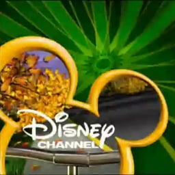 Disney Channel Asia/AU FM Announcer (2003-2007)