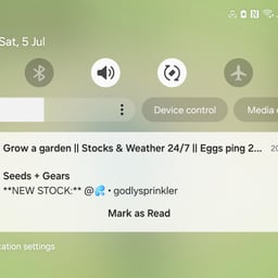 Squid game announcer