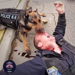 Alex American Young male 