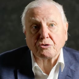 Sir David