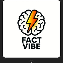 Fact vibe