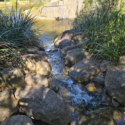 Animated Storyteller