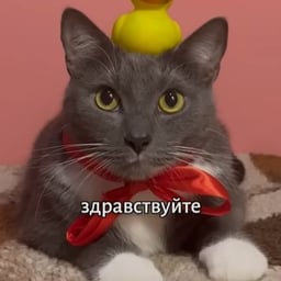 Лотков