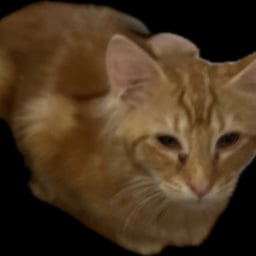 Lively Young Speaker