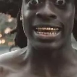 Levendige Nederlandse Stem