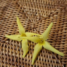 Voz Conversacional Clara