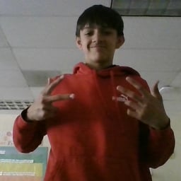 Luis Daniel picazo einstein