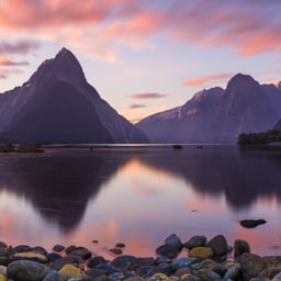 malachovski.official