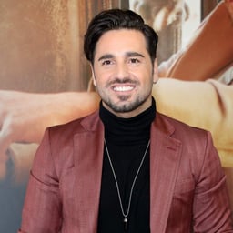 david bustamante karmona