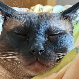 Calm Science Narrator