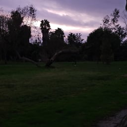 Voz Inmobiliaria Serena