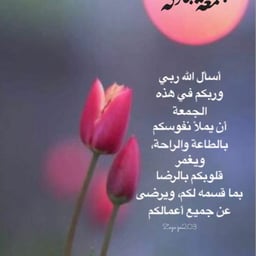 صوت أنثوي حيوي