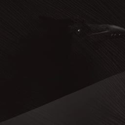 The Narrator (Slay The Princess)