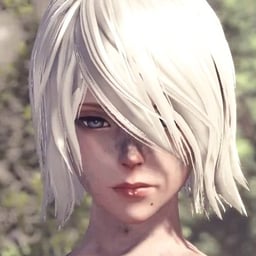 A2