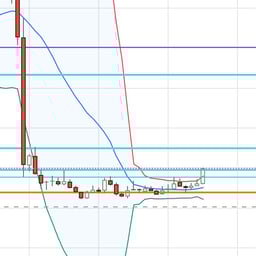 Friendly Fashion Voice