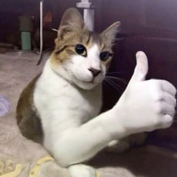 파라코펜 디벨롭 여자 1 목소리