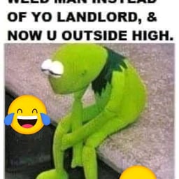 Energetic Jamaican Narrator