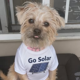 Luna - Storyteller girl