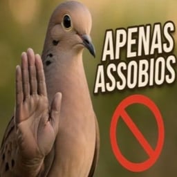 Voz Conversacional Masculina