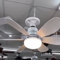 Clear Product Narrator