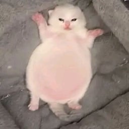 David Hyde Pierce/Drix's voice actor ^^