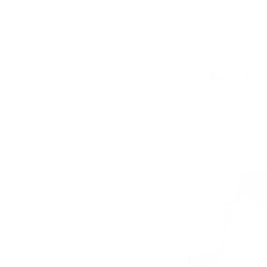 Lively Conversational Voice