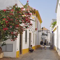 MIKE Voix Chanteur Passionné