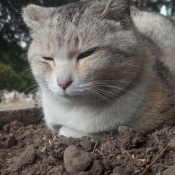 Horror Creature Scream