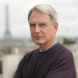 Mark Harmon 