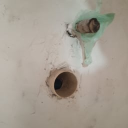 Voz Animada y Alegre