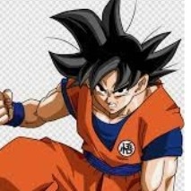Son Goku