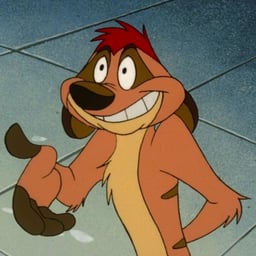 Timon (Kevin Schon)