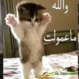 صوت رجل سعودي 